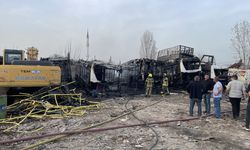 Bursa'da geri dönüşüm tesisindeki 6 hurda otobüs yandı