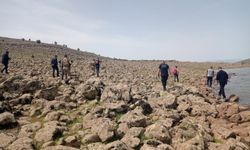 Diyarbakır'da kayıp çobanın bulunması için çalışma başlatıldı