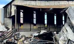 Mersin'de narenciye paketleme tesisinde çıkan yangın söndürüldü