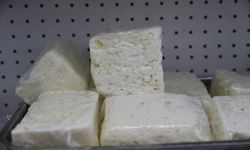 Trakya'nın coğrafi işaretli peynirlerinin tanıtımı için "peynir rotası" önerisi