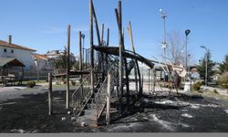 Van'da düzenlenen izinsiz gösterilerde parklar ateşe verildi, bazı iş yerleri zarar gördü