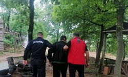 ⁠Yalova’da orman yangınına neden olduğu öne sürülen kişi yakalandı