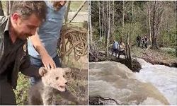 Artvin'de ağaçta mahsur kalan ayı yavrusunu orman işçileri kurtardı