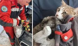 Sivas'ta tekerleğin içine sıkışan kedi yavrularını itfaiye kurtardı