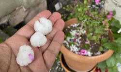 Kars'ta sel felaketi meyve bahçelerine zarar verdi