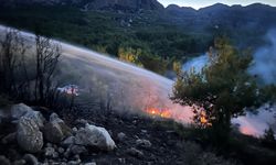 Antalya'da çıkan orman yangını söndürüldü