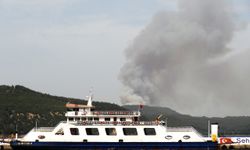 Çanakkale'de ormanlık alanda çıkan yangına müdahale ediliyor