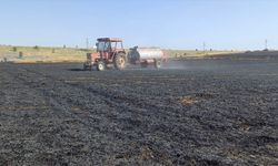 Edirne'de 110 dönümlük buğday ekili alan yandı