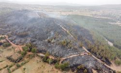 GÜNCELLEME 2 - Muğla'nın Milas ilçesinde çıkan orman yangını kontrol altına alındı