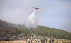 GÜNCELLEME - Çanakkale'de ormanlık alanda çıkan yangın kontrol altına alındı