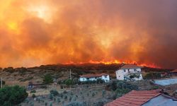 GÜNCELLEME - Manisa Salihli'de çıkan orman yangınına müdahale ediliyor