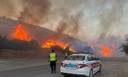 Kahramanmaraş'ta çıkan yangında 10 hektar makilik alan zarar gördü