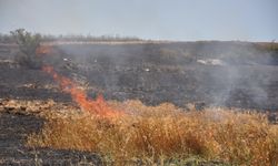 Kırklareli'nde 100 dekarlık buğday ekili alan yandı
