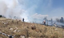 Konya'da makilik alanda çıkan yangın söndürüldü