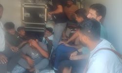 Muğla'da kamyonet kasasında 15 düzensiz göçmen yakalandı