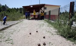 Yemekhane ve boş sınıfta çalışarak bocce ve curlingde Türkiye dereceleri elde ettiler