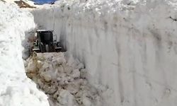 Batı sıcaktan kavrulurken Hakkari'de karla mücadele devam devam ediyor