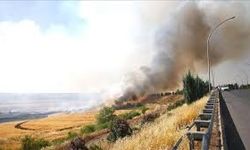 Dicle Elektrikten Diyarbakır ve Mardin arasındaki anız yangınına ilişkin açıklama