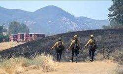ABD'nin California eyaletinde orman yangınları yerleşim yerlerine sıçradı