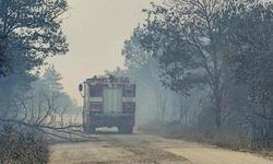 Bulgaristan-Türkiye sınırına yakın bölgede çıkan yangına müdahale ediliyor