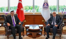 Cumhurbaşkanı Yardımcısı Yılmaz'dan Anayasa Mahkemesi Başkanı Özkaya'ya ziyaret
