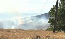 Elazığ'da otluk alanda çıkan yangına ekipler müdahale ediyor