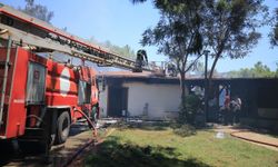 GÜNCELLEME 2 - Antalya'da ormanlık alandaki restoranda çıkan yangın kontrol altına alındı