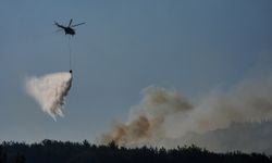 GÜNCELLEME 3 - İzmir Bornova'da çıkan orman yangınına müdahale ediliyor