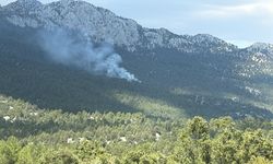 Antalya'da orman yangını çıktı