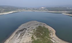 Bolu'da su seviyesi düşen Gölköy Baraj Gölü'nde yarım ada oluştu