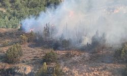 Erzurum'da ormanlık alanda çıkan yangın kontrol altına alındı