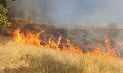 Tunceli'de otluk alanda çıkan yangın söndürüldü