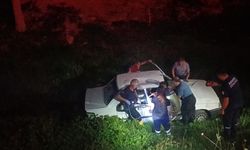 Adana'da dere yatağına düşen otomobildeki 2 kişi yaralandı