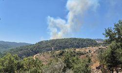 Antalya'nın Kaş ilçesindeki orman yangınıyla ilgili gözaltına alınan şüpheli serbest bırakıldı