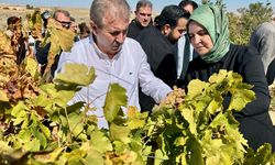 BBP Genel Başkanı Destici, Eskişehir'de gündemi değerlendirdi: