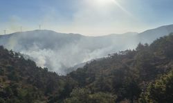 GÜNCELLEME 2 - Hatay'da çıkan orman yangını kontrol altına alındı