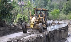 GÜNCELLEME - Trabzon'da taşkın ve heyelan meydana gelen ilçelerde temizlik çalışmaları sürüyor