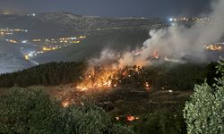 Kahramanmaraş'ta çıkan orman yangını kontrol altına alındı