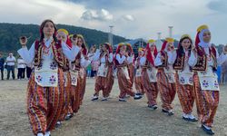 Sakarya'da Çilek Festivali düzenlendi