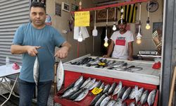 Zonguldak'ta deniz av sezonu palamut bereketiyle başladı