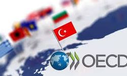 OECD: İşletme ve bireyler üzerindeki vergilerin azaltılması eğilimi tersine dönüyor