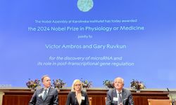 2024 Nobel Tıp Ödülü'nü "mikroRNA'nın keşfi ve gen düzenlemesi" çalışmalarından dolayı ABD'li Victor Ambros ve Gary Ruvkun kazandı