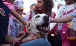 Düzce’de Hayvanları Koruma Günü'nde sahiplendirme ve farkındalık etkinliği düzenlendi