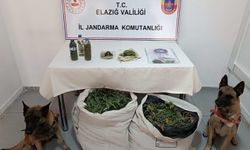 Diyarbakır'da 11 kilo 200 gram esrar ele geçirildi