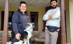 Köpeklere eğitimi yaşam alanlarında vererek daha başarılı sonuçlara ulaşıyor