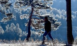 Erzurum, Ardahan ile Kars'ta soğuk etkili oluyor