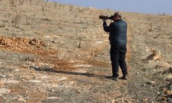 Kuş gözlemcisi mühendis, Şanlıurfa'nın doğal zenginliğini kayıt altına alıyor