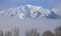 Tunceli'de dağları sis, ovalardaki ağaç ve bitkileri ise kırağı kapladı