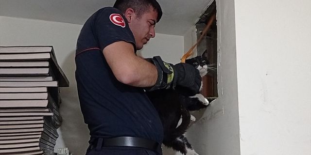 Antalya'da apartmanın havalandırma boşluğuna düşen kedi kurtarıldı